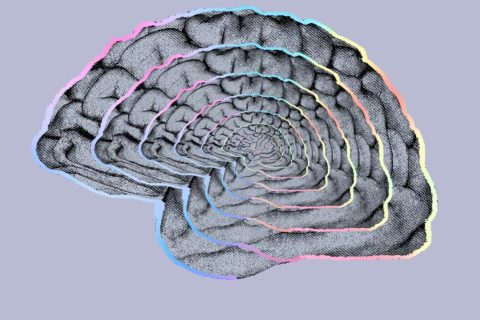埃隆-马斯克的脑机接口公司正在为首次人体临床试验招募人员