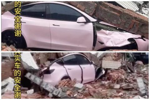 特斯拉 Model 3 车顶接受实际大象强度测试并顺利通过